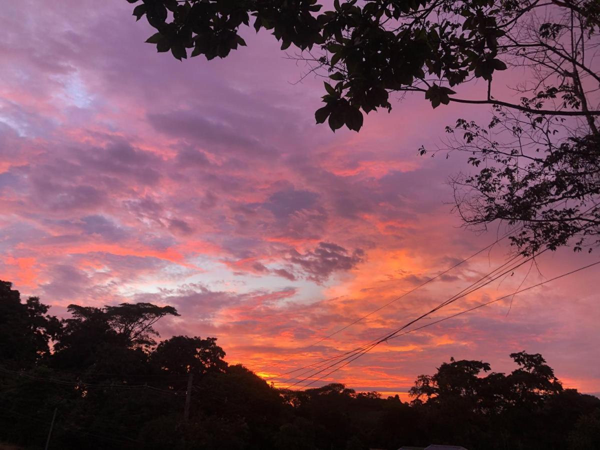 Teva Hotel&Jungle Reserve Nationalpark Nationalpark Manuel Antonio Exterior foto